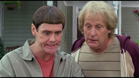 dumb and dumber 2 stream|dumb and dumber 2 adele.